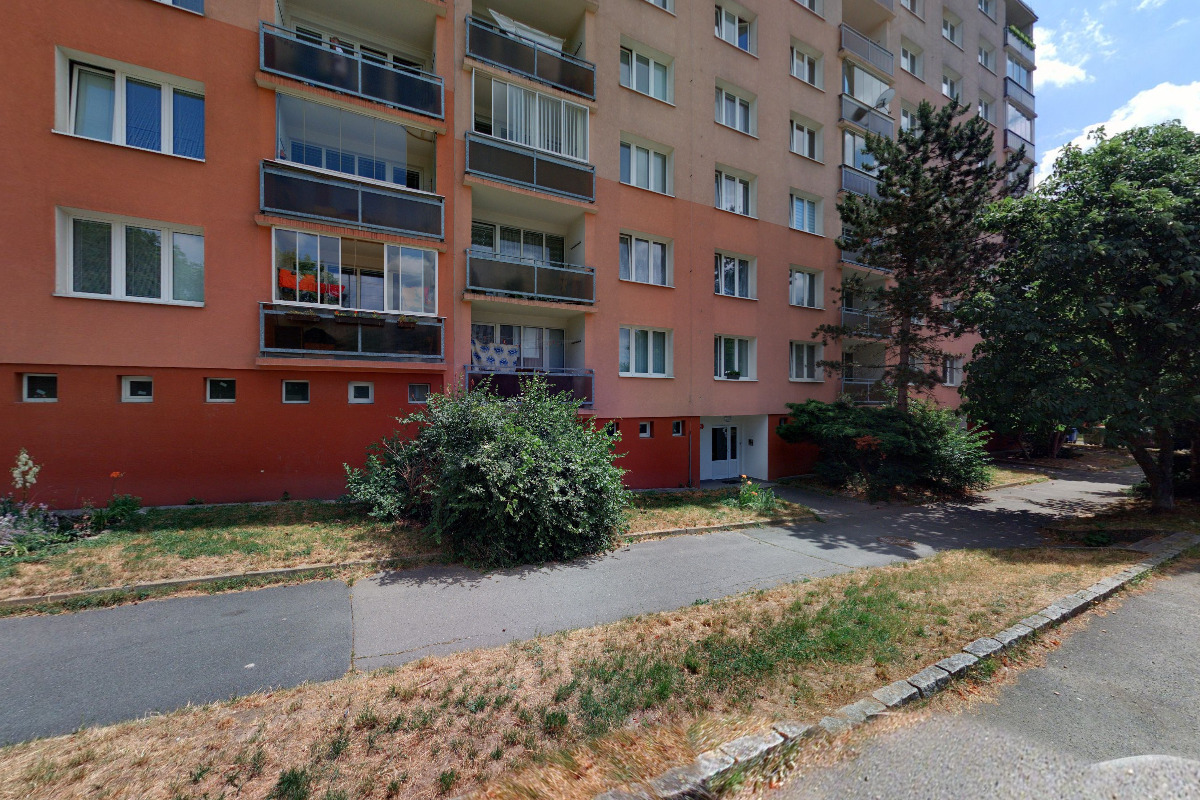 Boxerklub ČR - Územní pobočka Plzeň foto 2