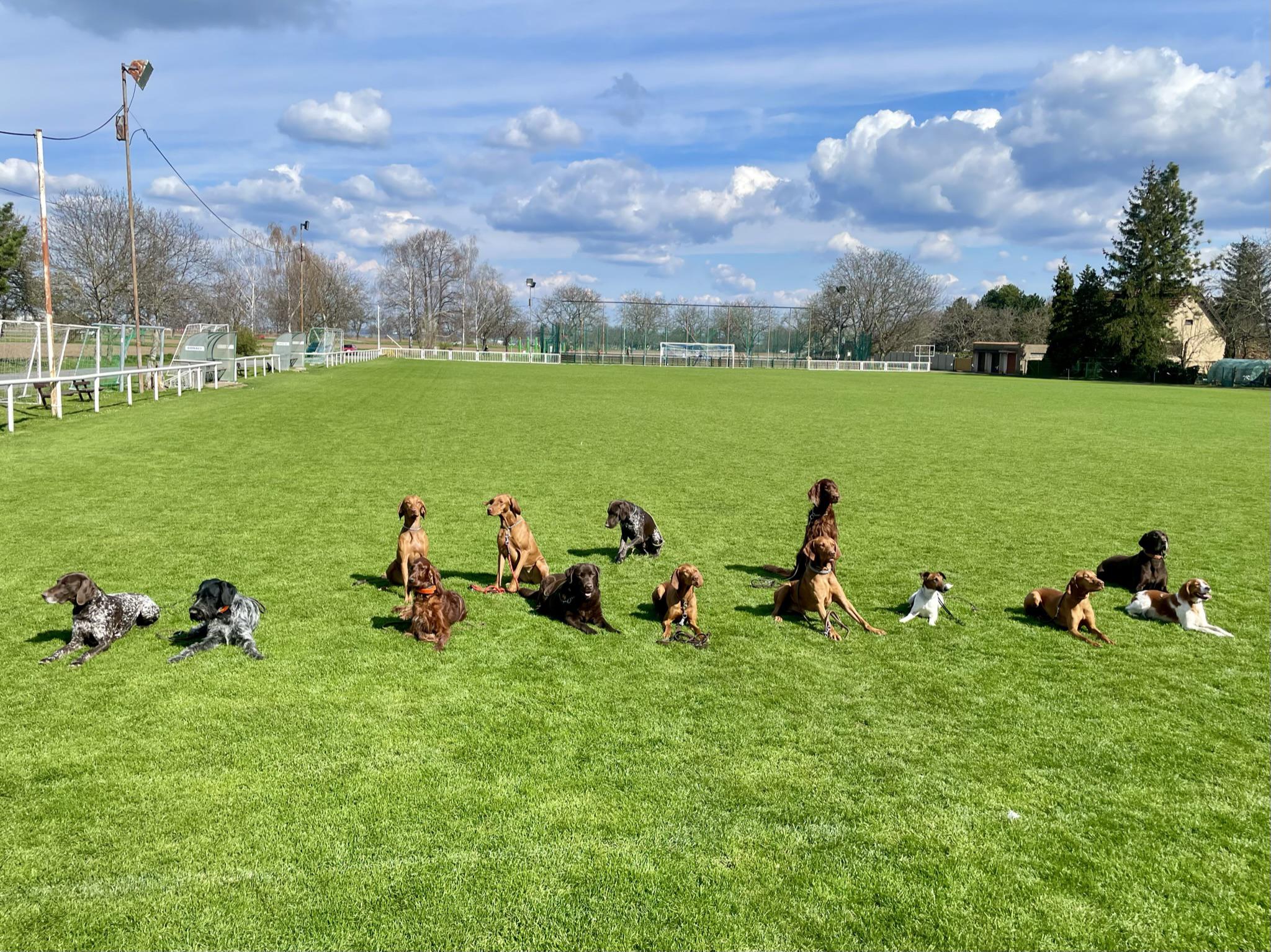 Ing. Zuzana Čechová foto 6