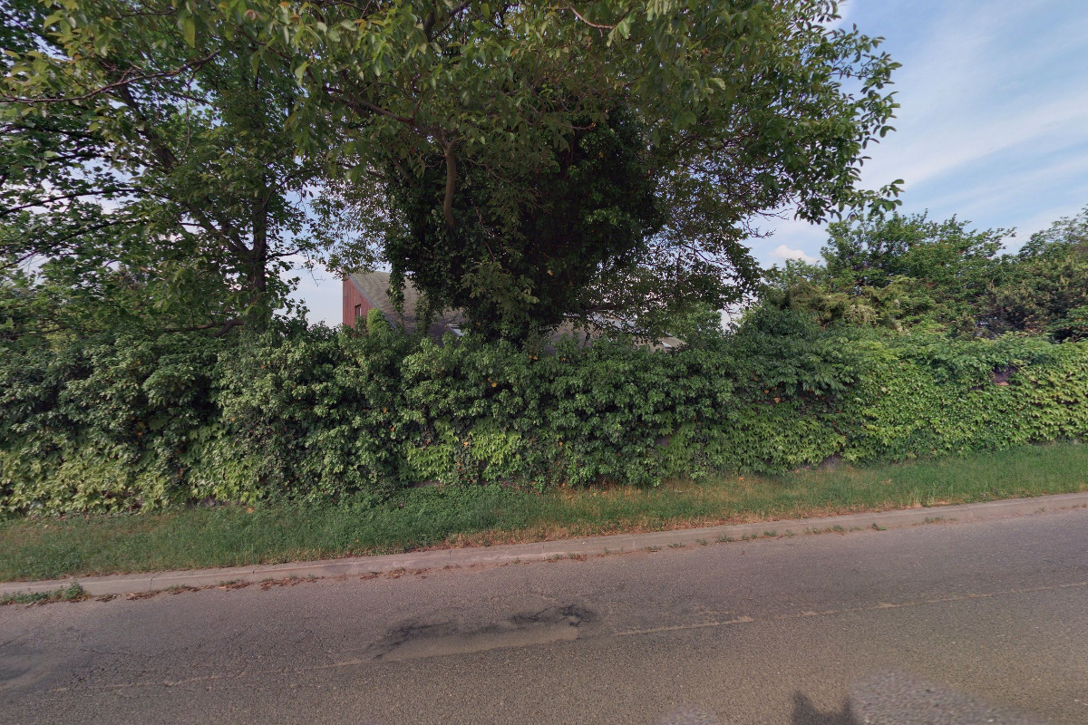 akademický malíř Markéta Prokopová