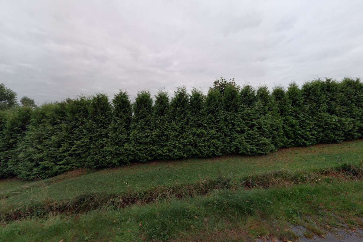 Shop.offroad-plzen.cz foto 4