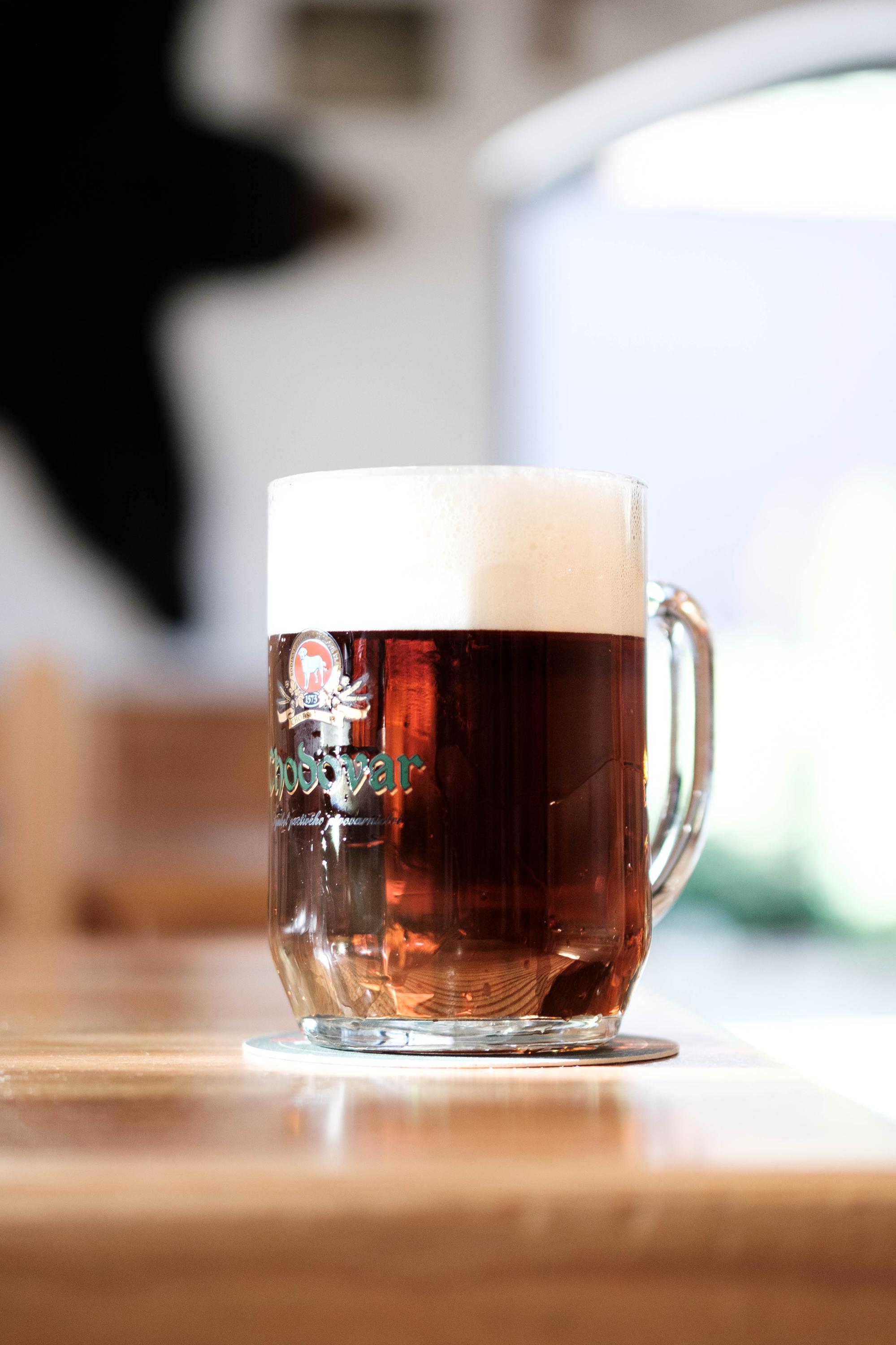 Hostinec U Pejska a kočičky foto 4