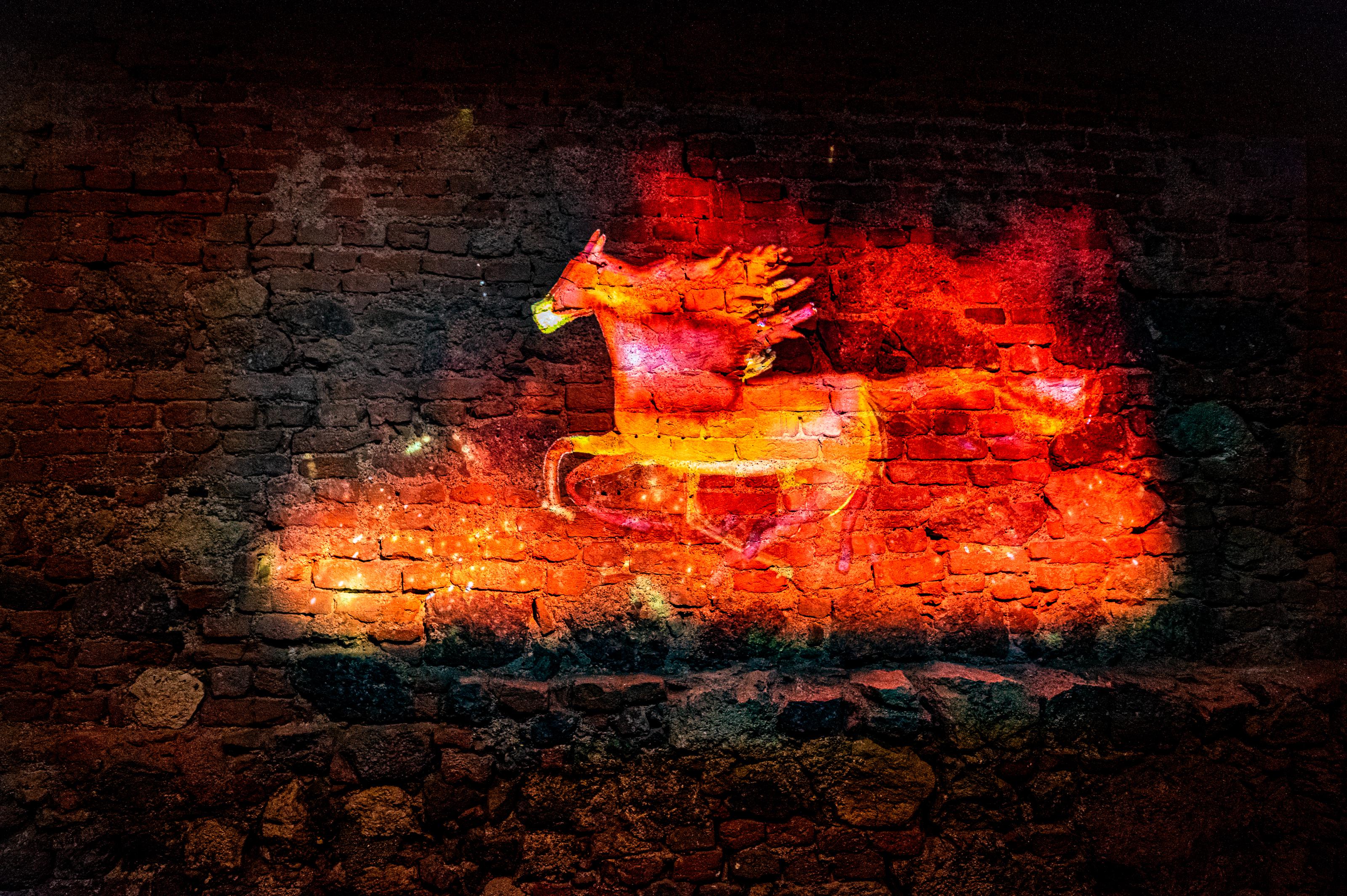 Sklep pod Novou radnicí foto 2