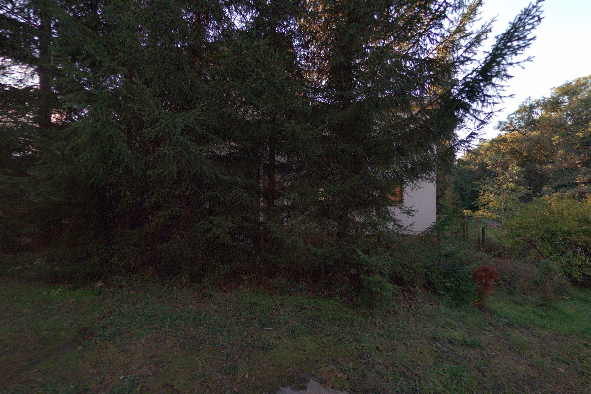 Lubomír Kocum - Jezdectví