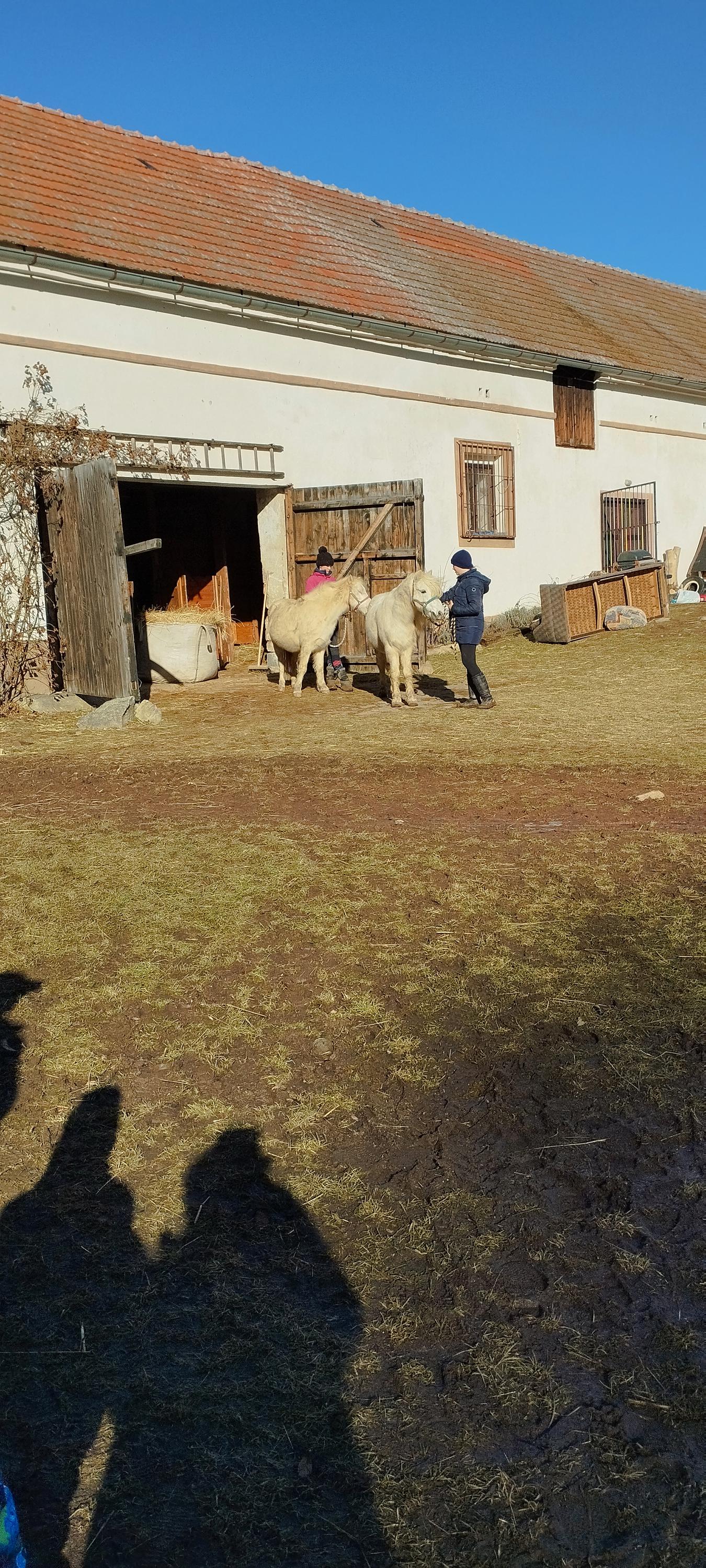 Jezdecký spolek Denisa foto 5