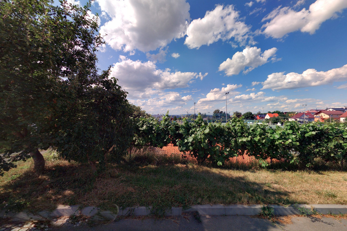 Tělovýchovná jednota Plzeň - Litice foto 2