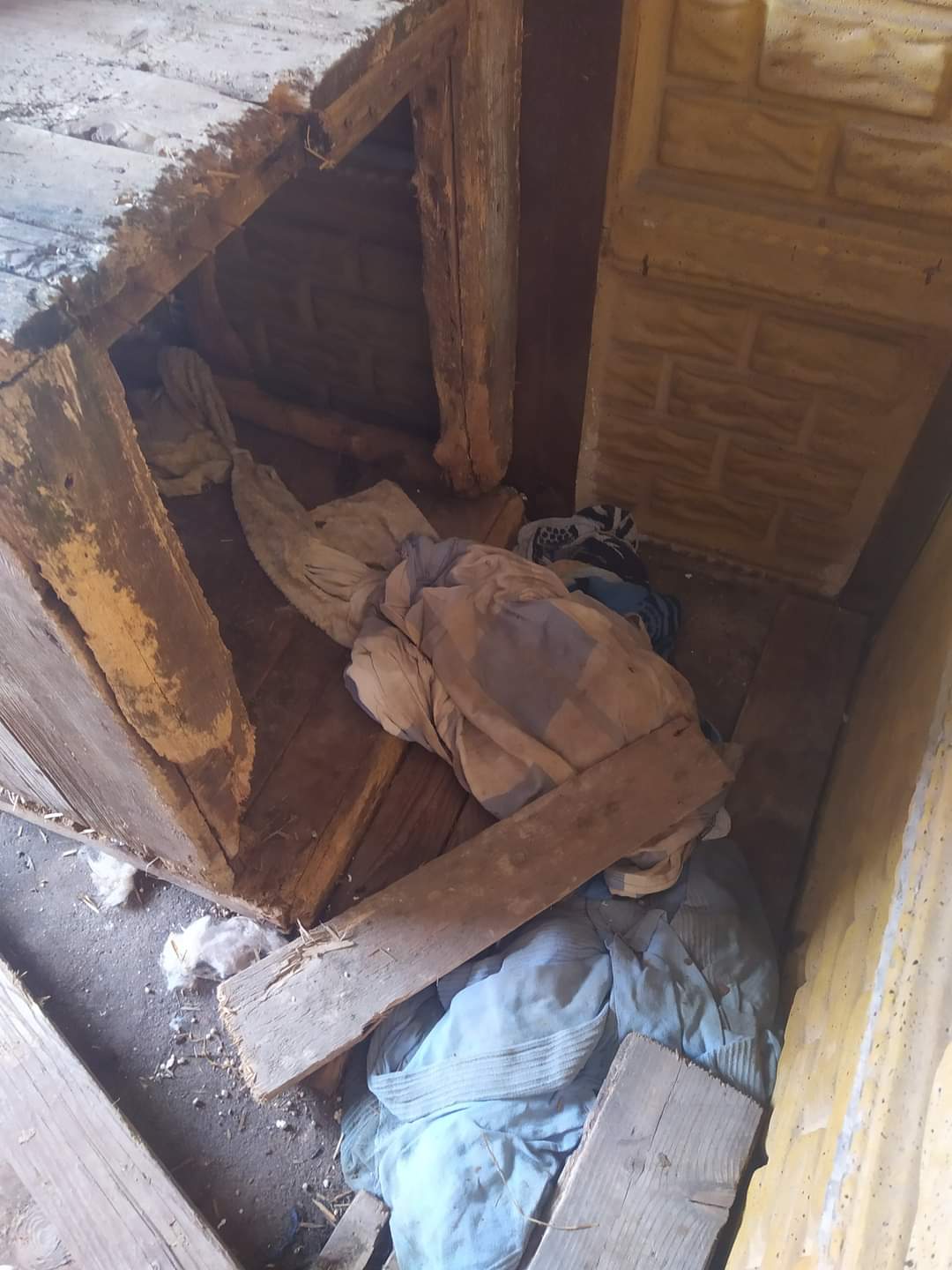 Útulek pro opuštěné psy Dětmarovice foto 6