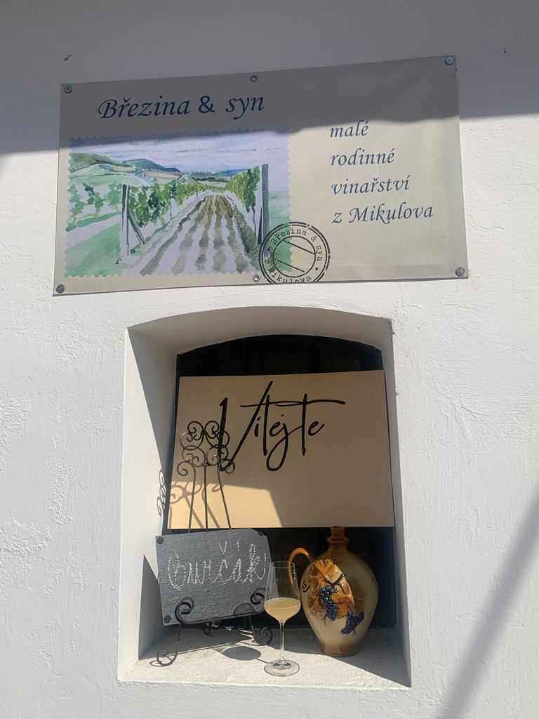 Březina a syn foto 4