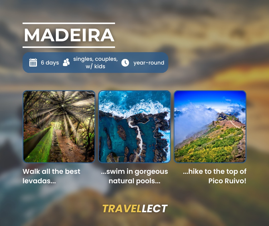 Travellect.com foto 2