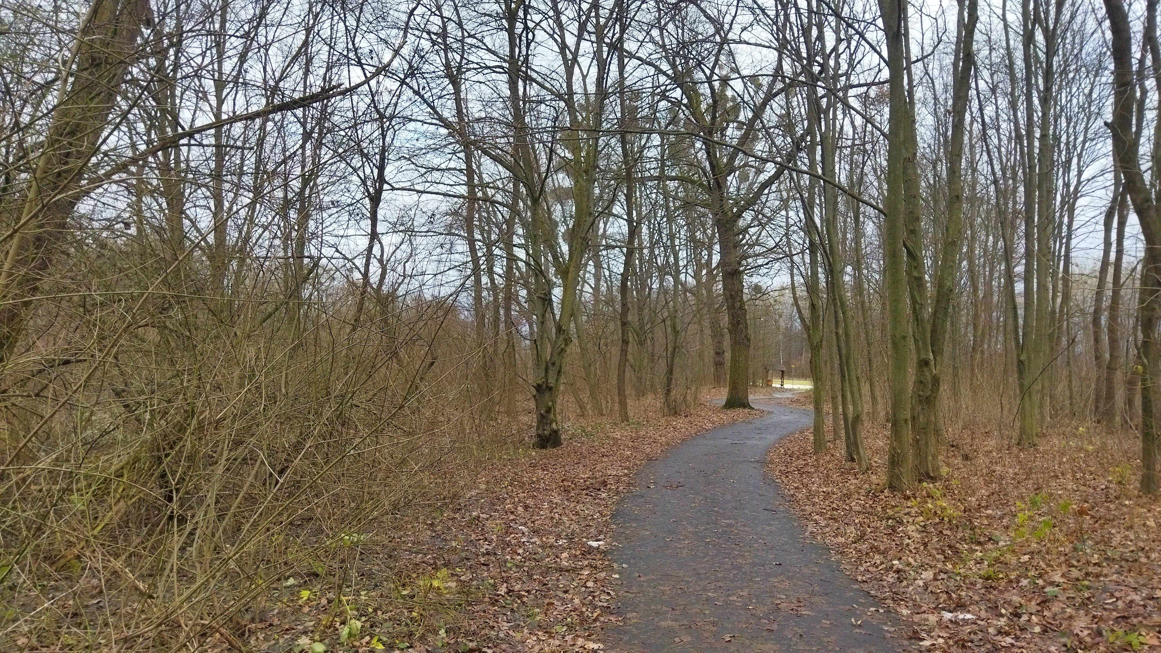 Areál sportu Kozlovice foto 2