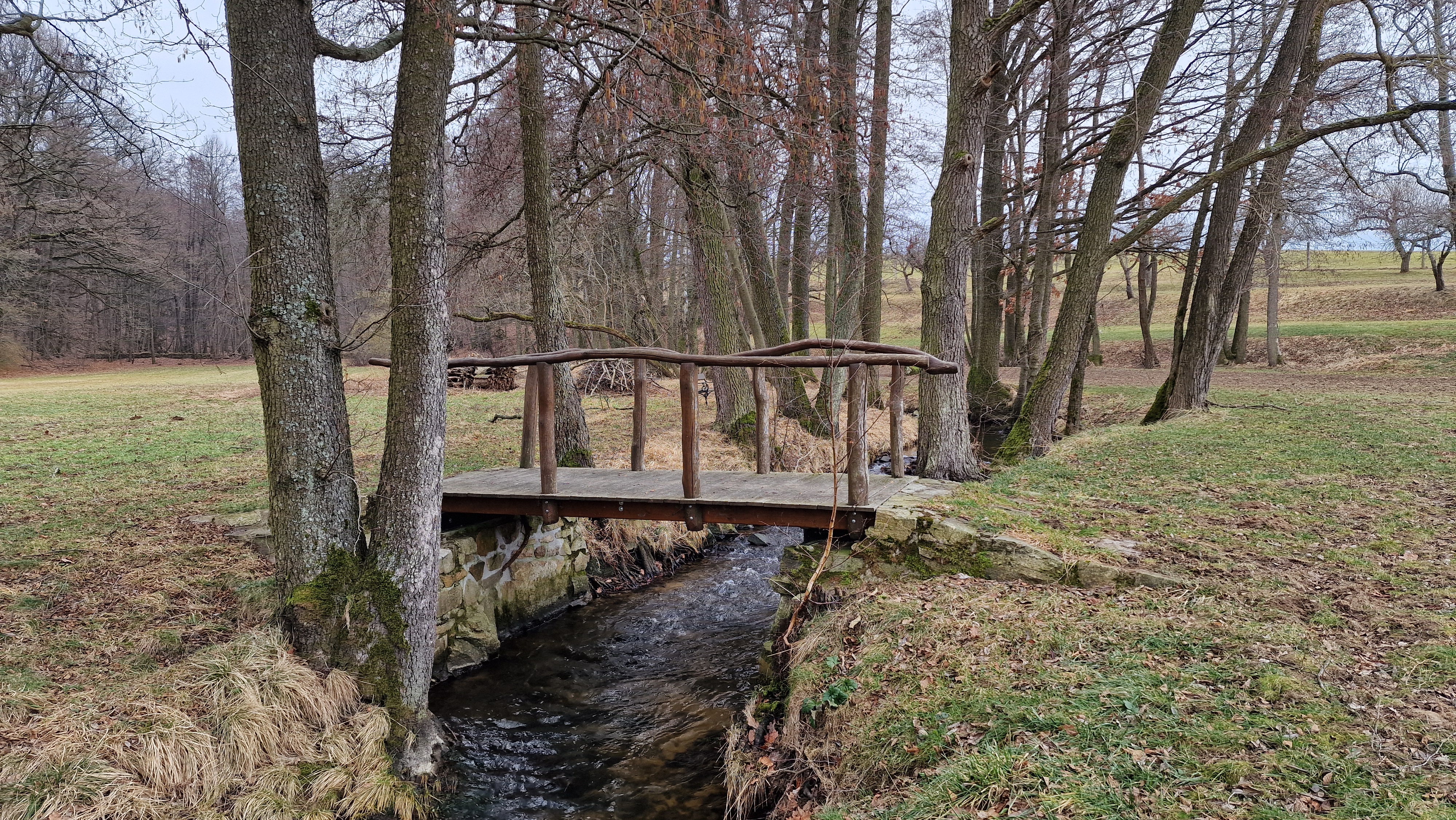 Brusna Lhenice foto 2