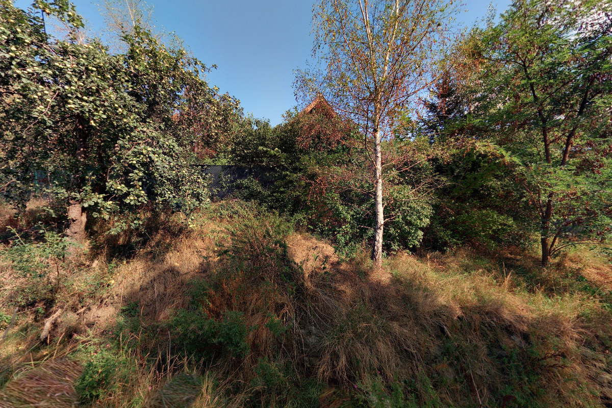 Ing. Dalimila Švihálková Mirčevská foto 1