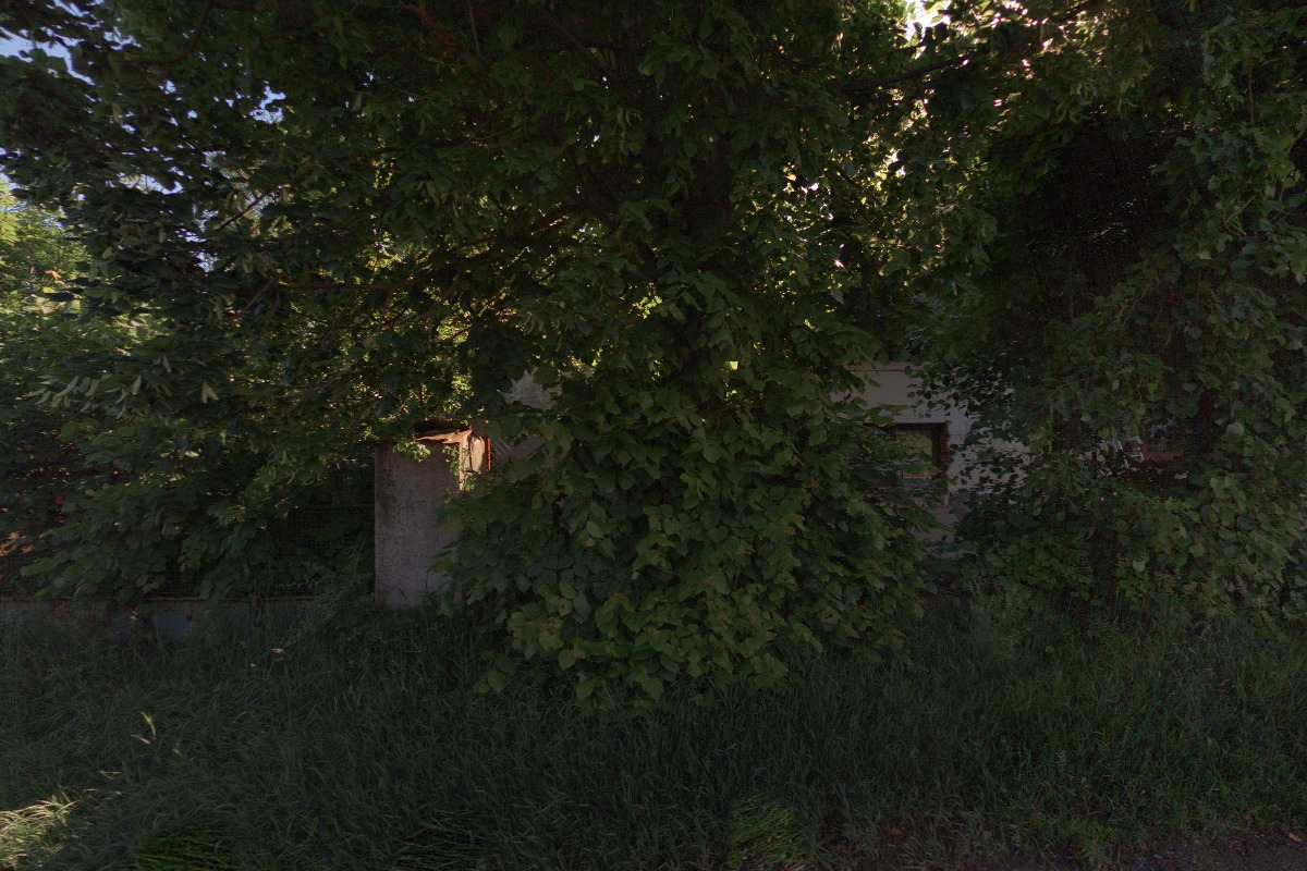 Martin Kuděj- Rostlinná výroba