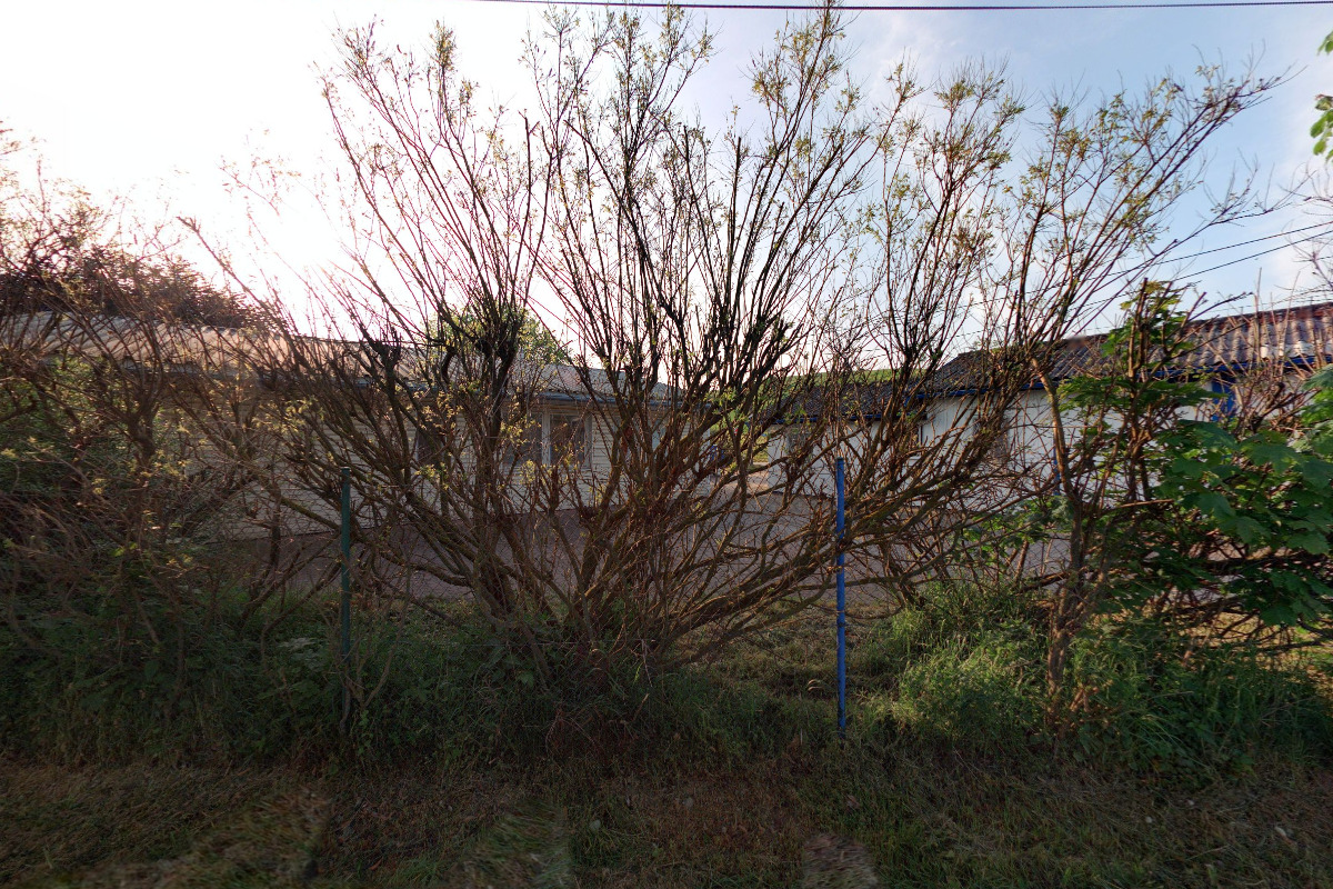 Marius Pedersen, a.s.