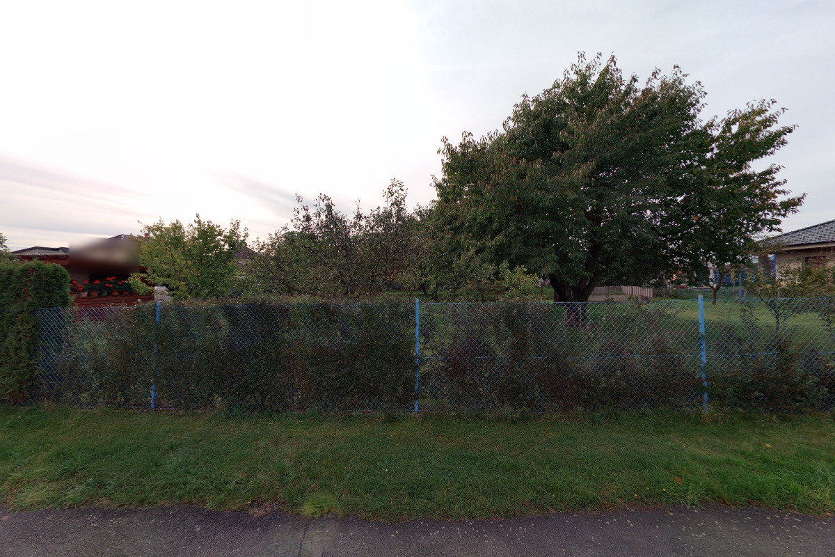 Fido Sport - Tomáš Franc foto 1