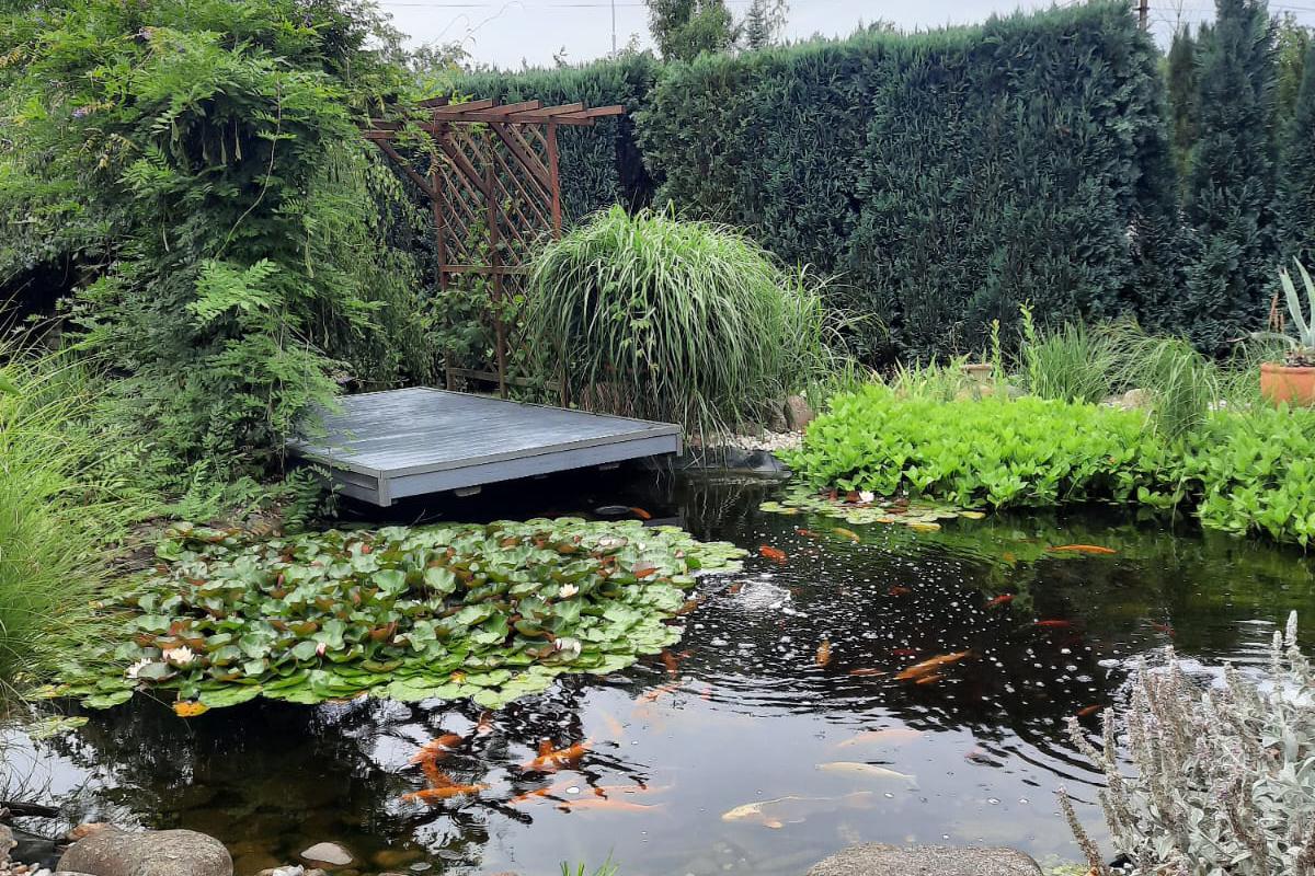 Hodinový manžel Roman