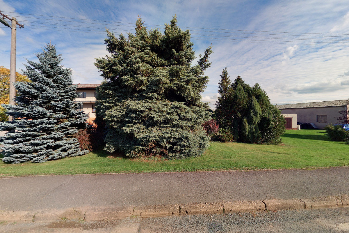 Základní kynologická organizace Žernov - Rýzmburk