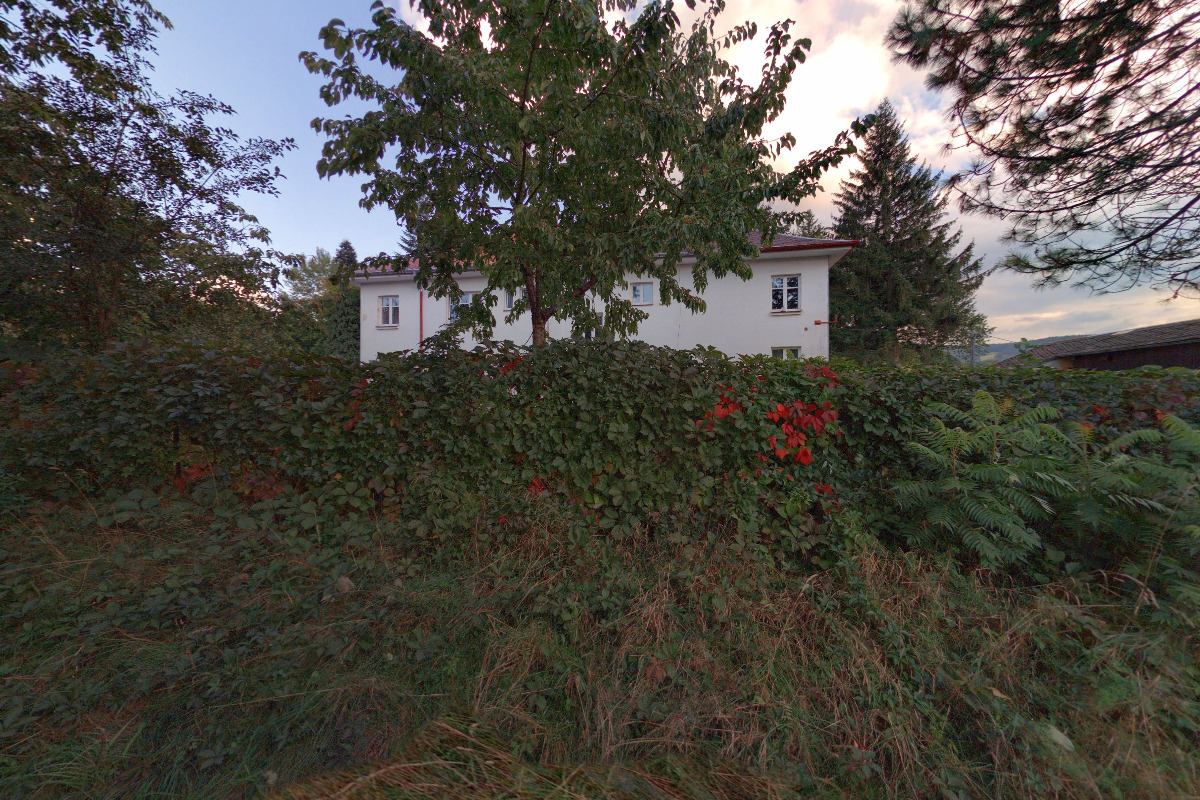 LC Wild Boars Šumava