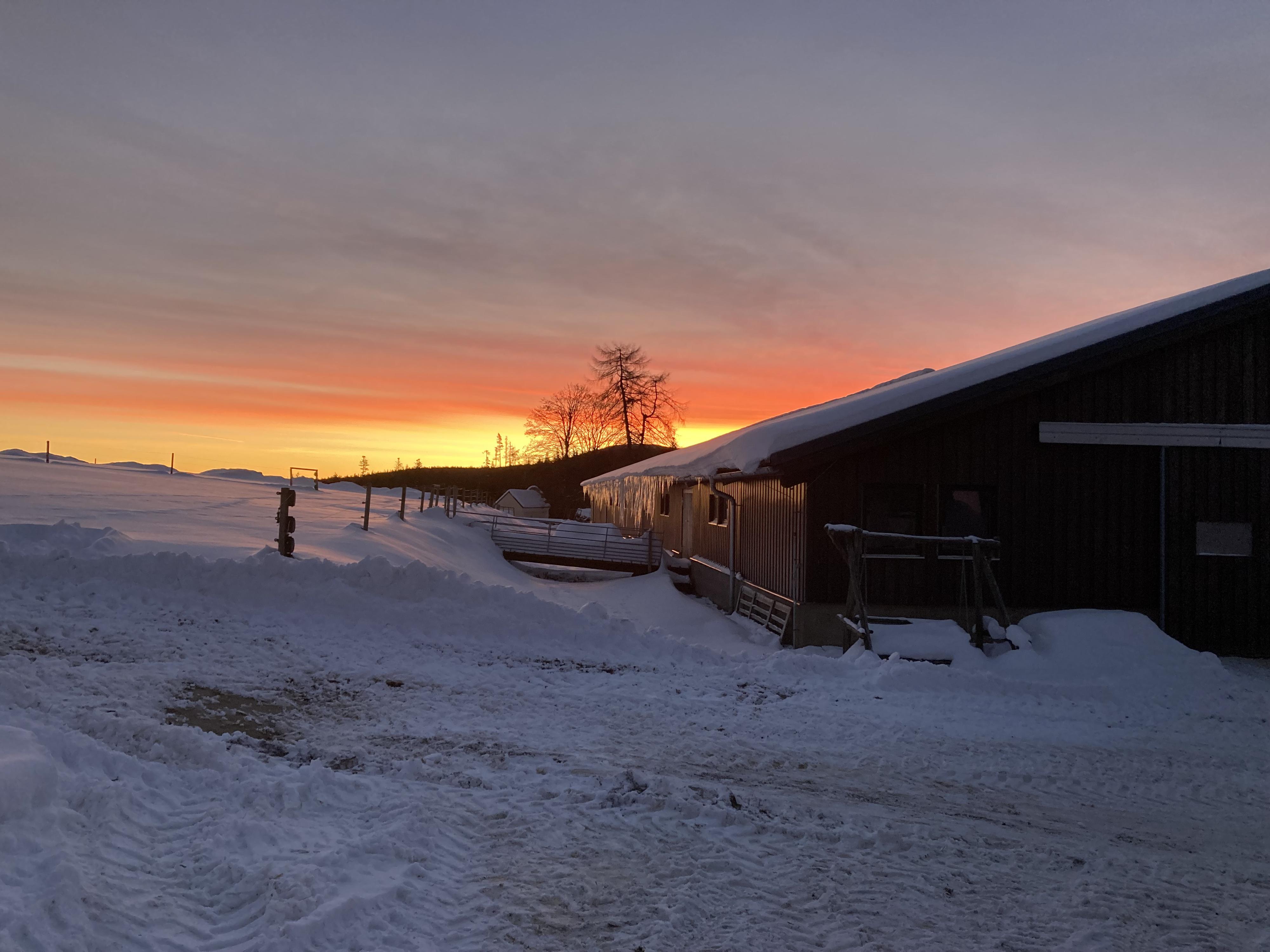 Farma Michlovka foto 6