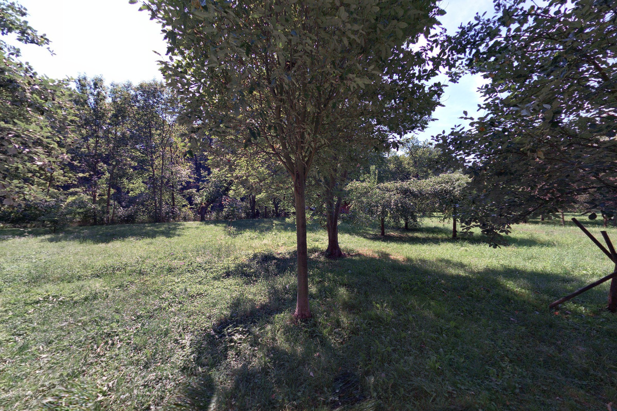 Junák - český skaut, středisko Krále Jiřího Poděbrady foto 2