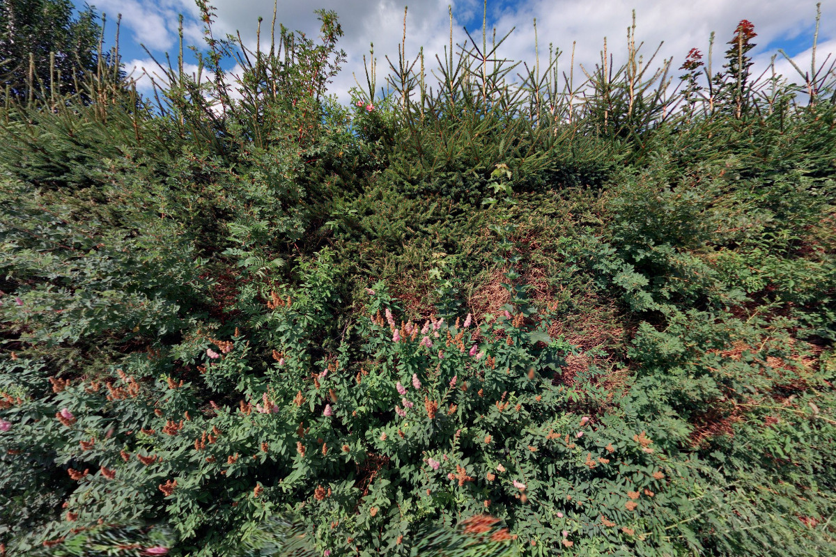 MUDr. Marta Jílková