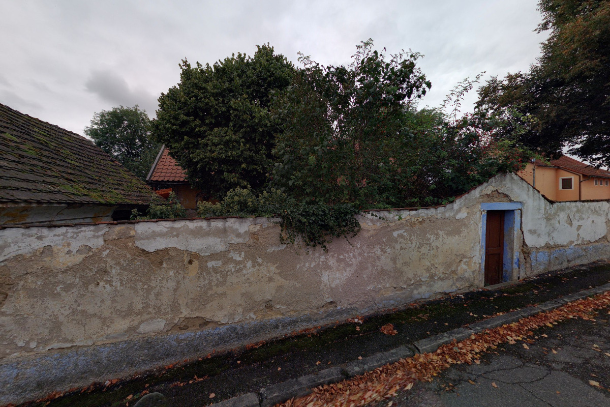 Veronika Göthová Habermannová