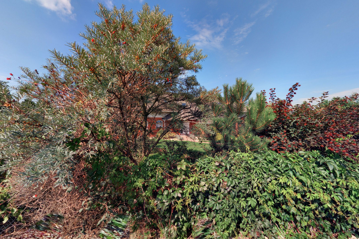 Ing. Irena Kováříčková