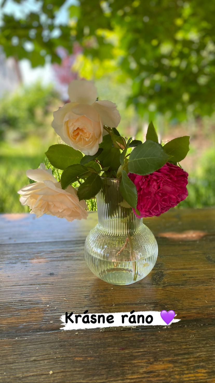 Chalupa u Bylinkářky foto 5