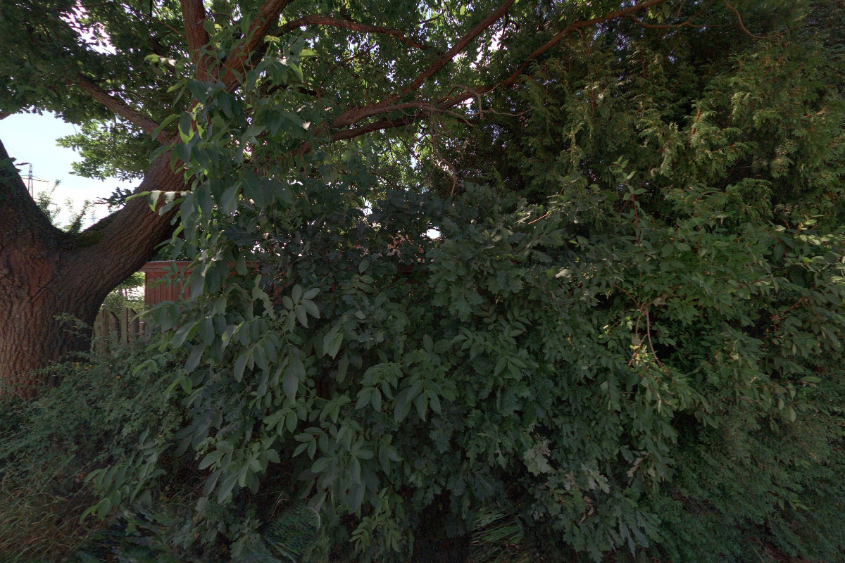 Zahradnictví Červenka