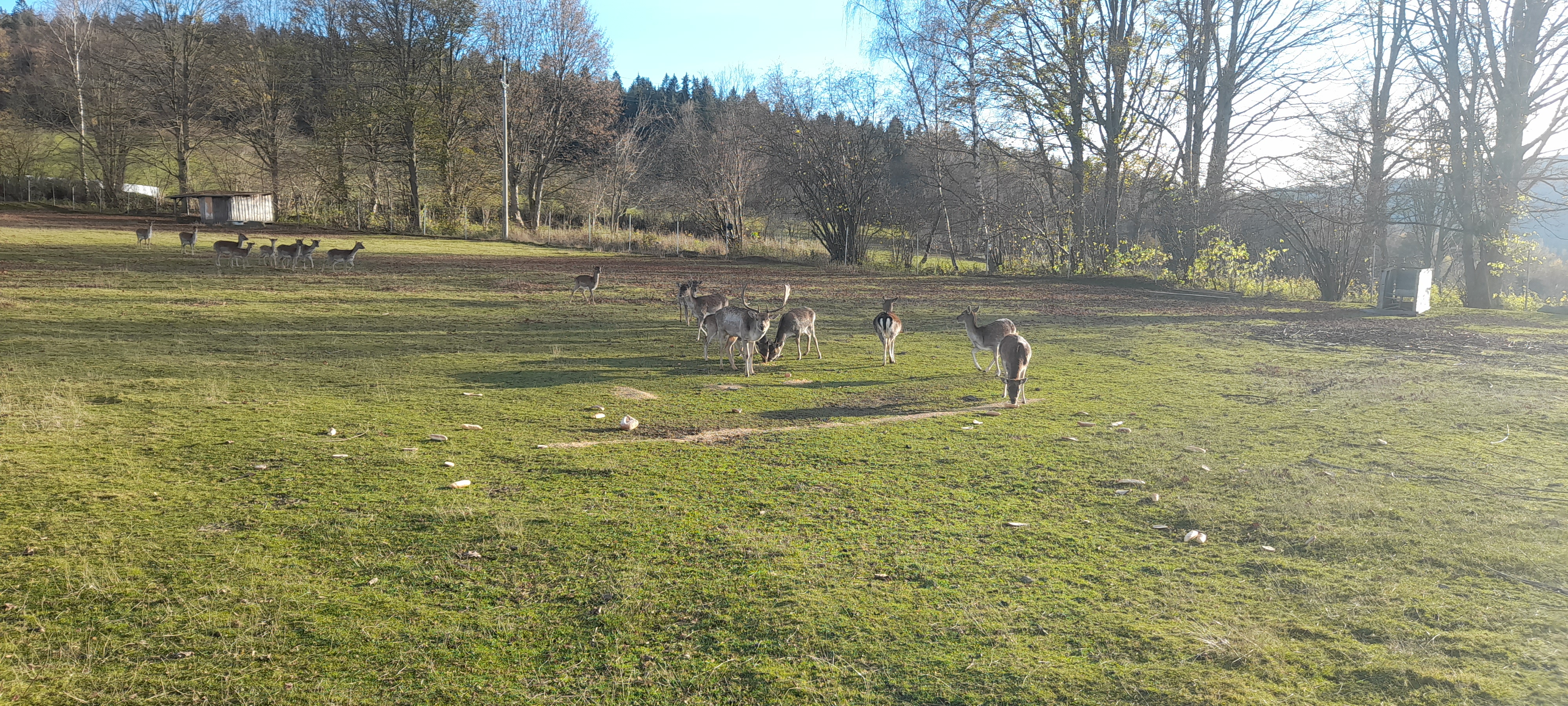 Ubytování Červená 3 foto 3