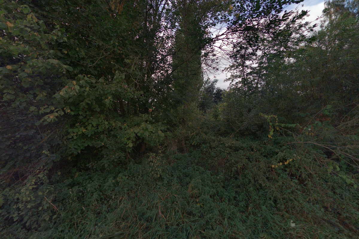 Chodovia Klenčí, družstvo umělecké výroby