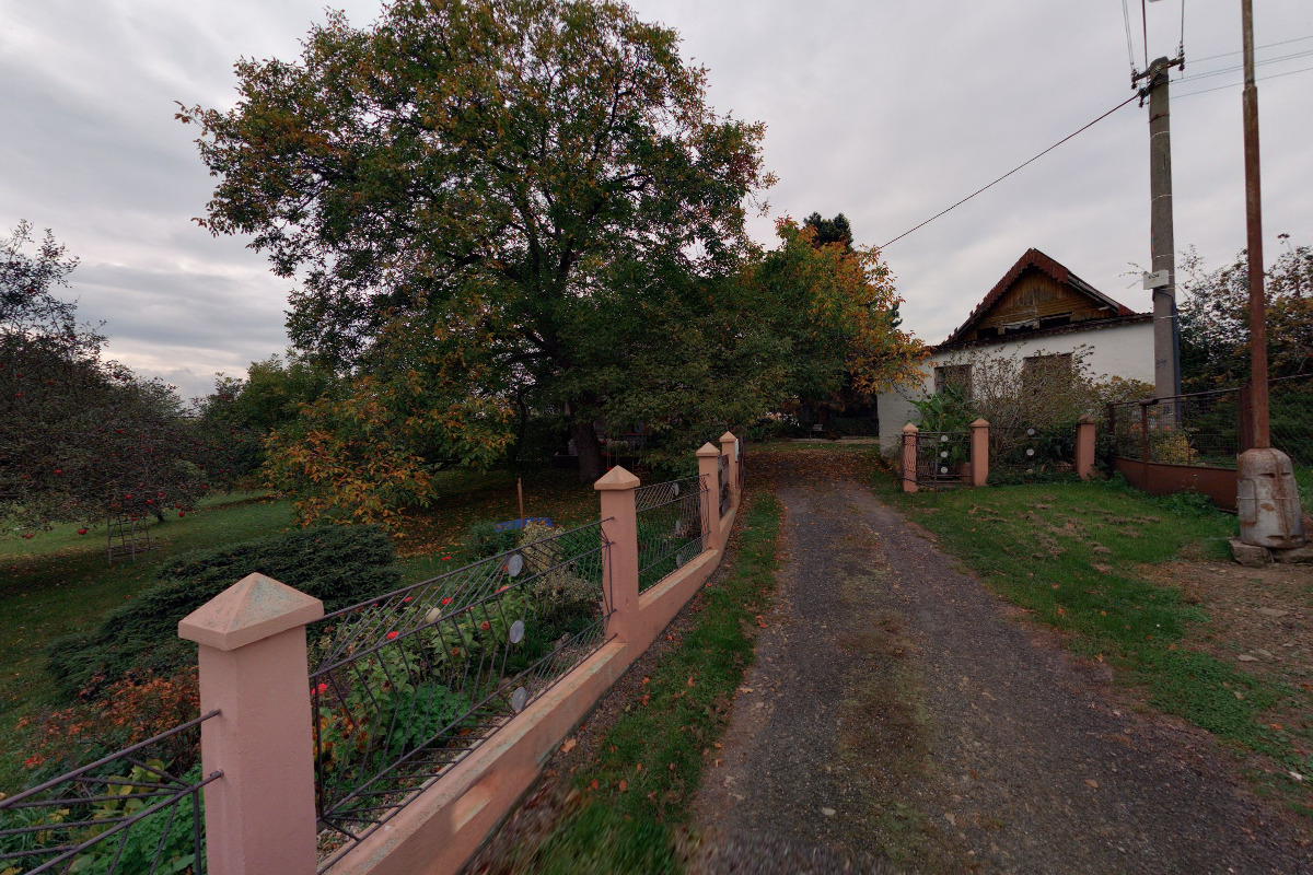 Jiří Karbusický foto 2