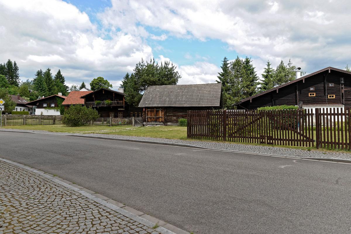 Okrasný klest, Vánoční stromky Trojan