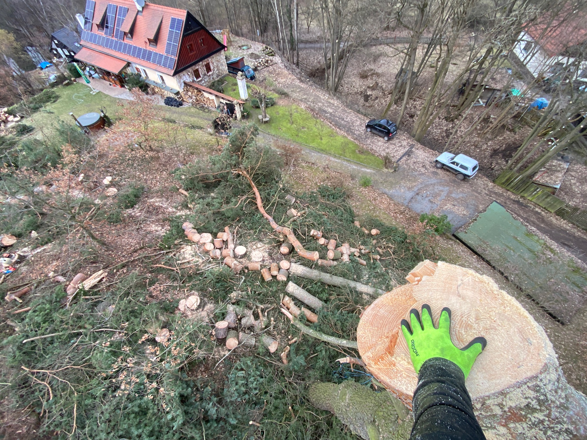 ARBEX - Prořezy a rizikové kácení stromů foto 6