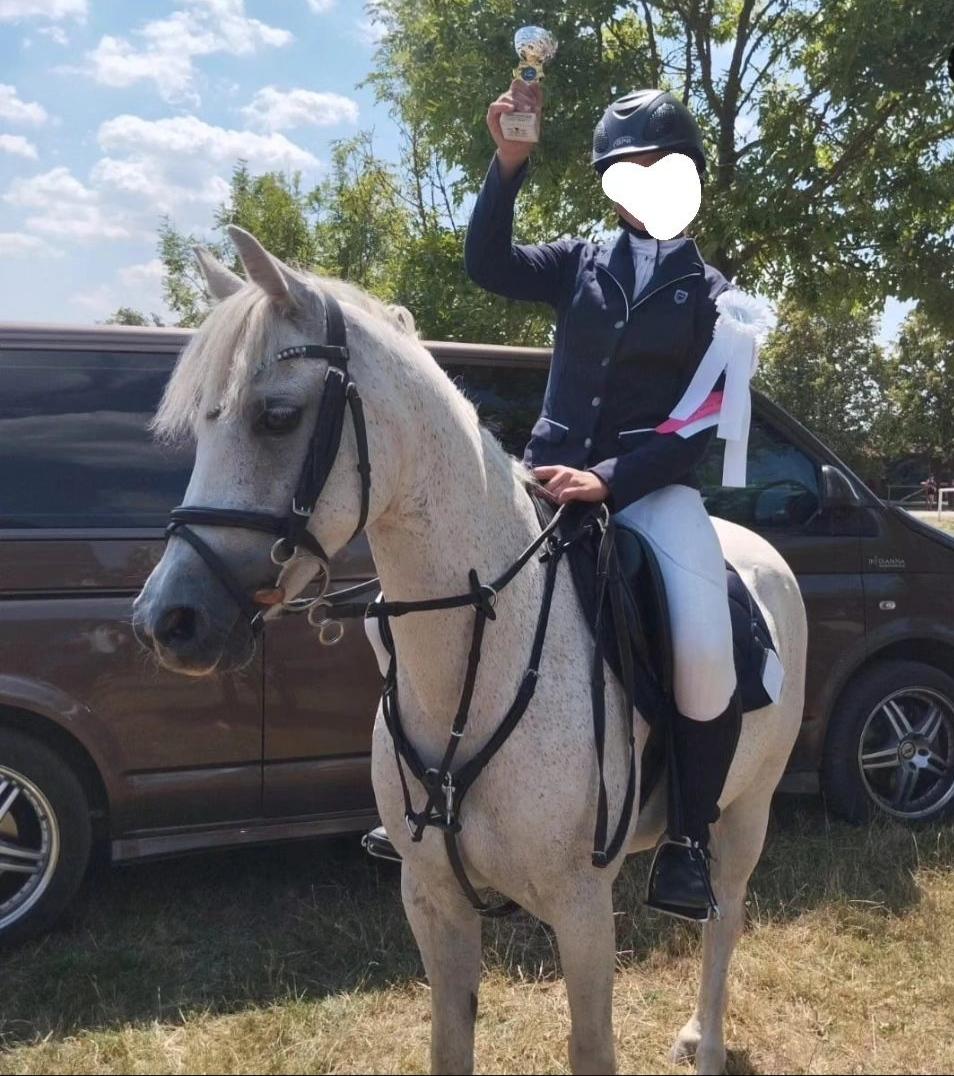 ATOS - jezdecká stáj z.s. foto 6