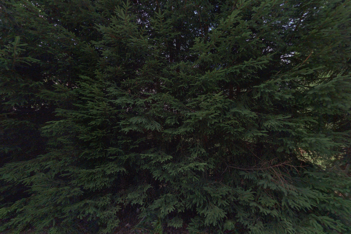 Horský apartmán Bedřichov