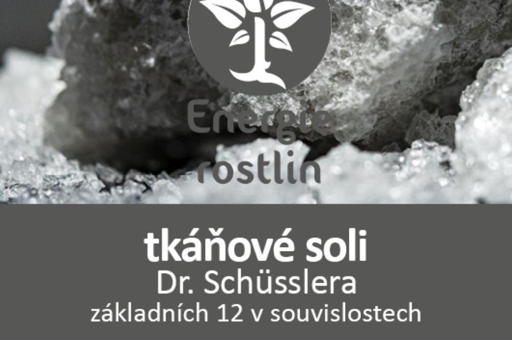 Seminář Schüsslerovy tkáňové soli (prvních 12)