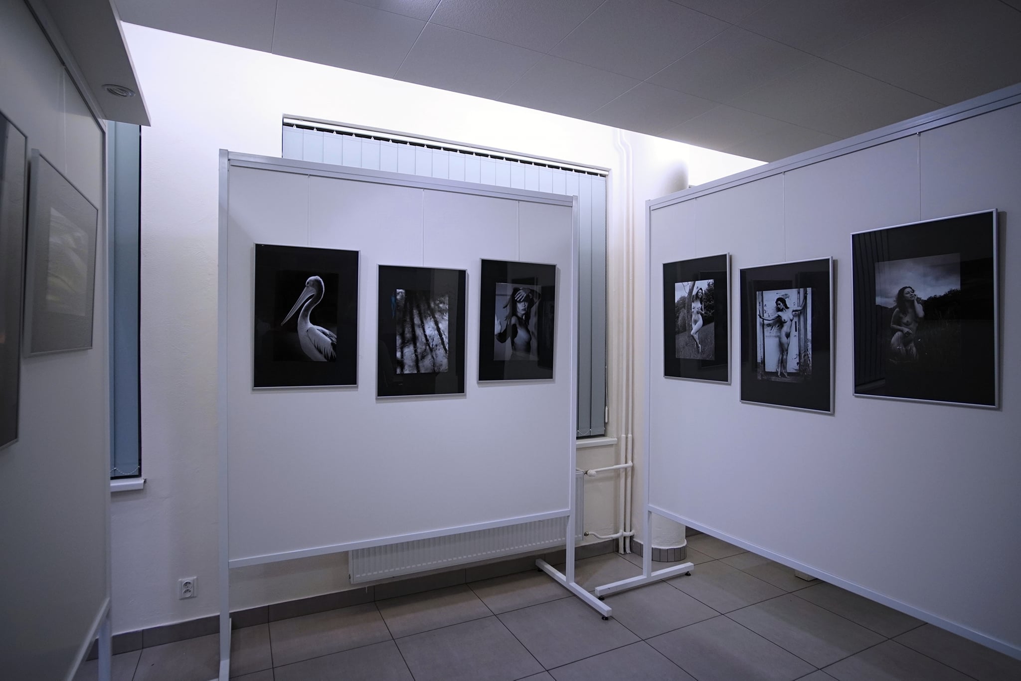 Městská galerie Otrokovice foto 4