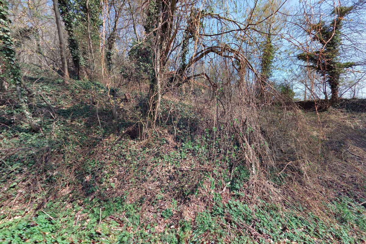 Tělocvičná jednota Sokol Podhorní Újezd a Vojice