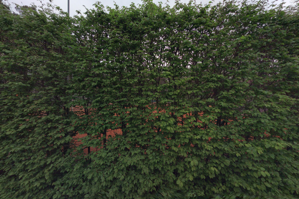 Město Třebechovice pod Orebem