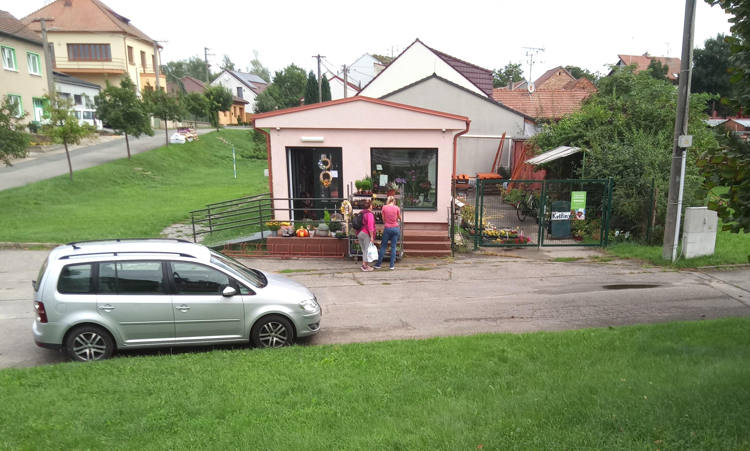 Jana Kopřivová - Květiny foto 2