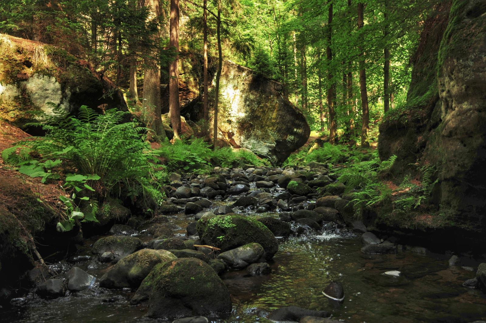 Alfapartmány foto 5