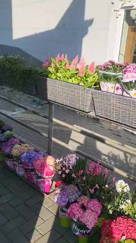 Květinářství Kristýnka foto 2 (náhled videa)