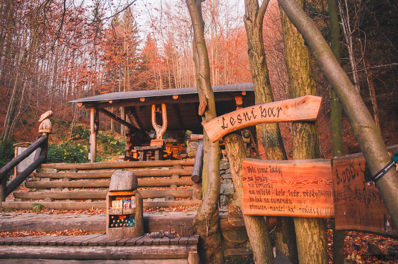 Lesní bar Lipová-lázně foto 3