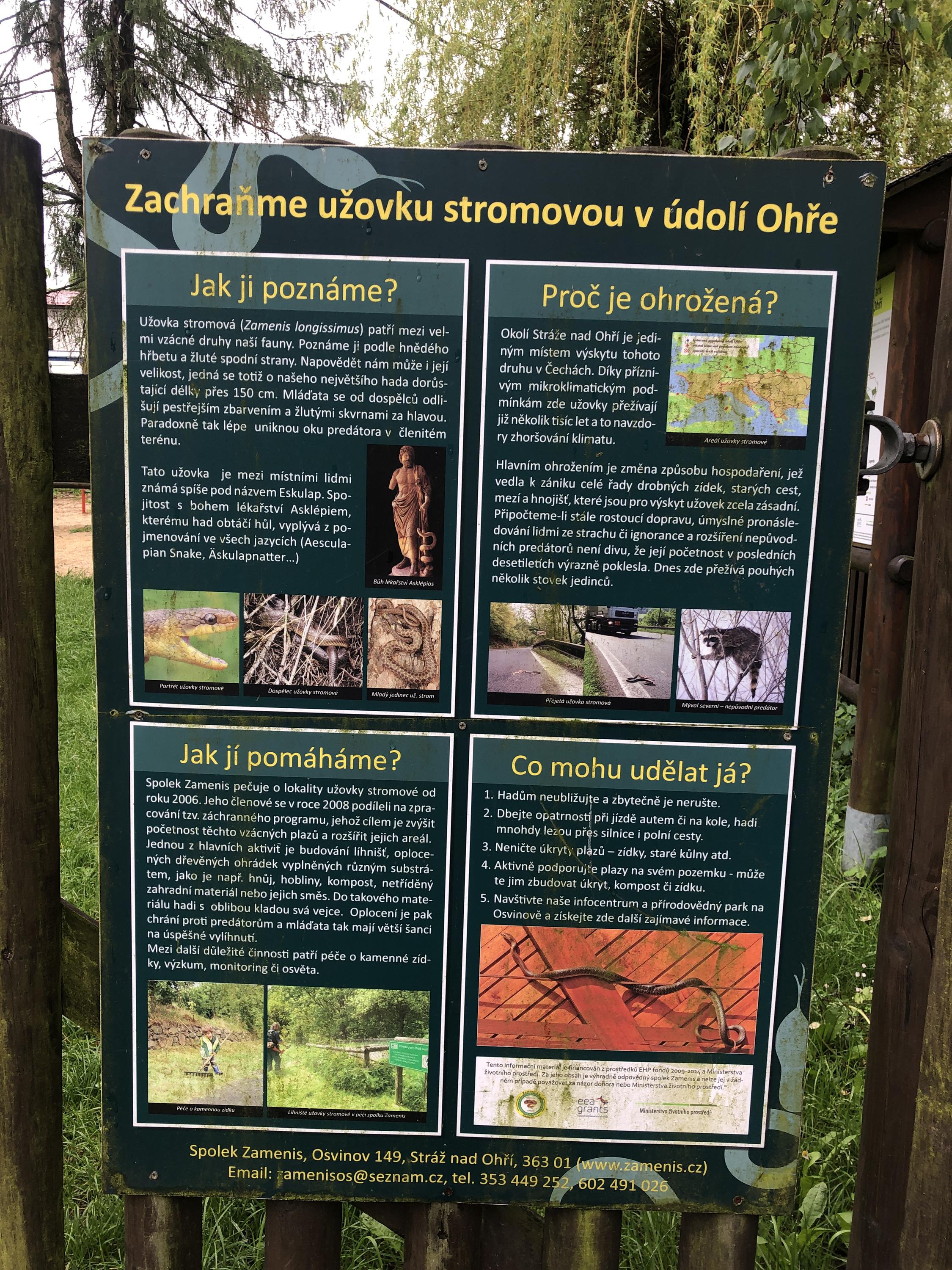 Spolek Zamenis foto 5