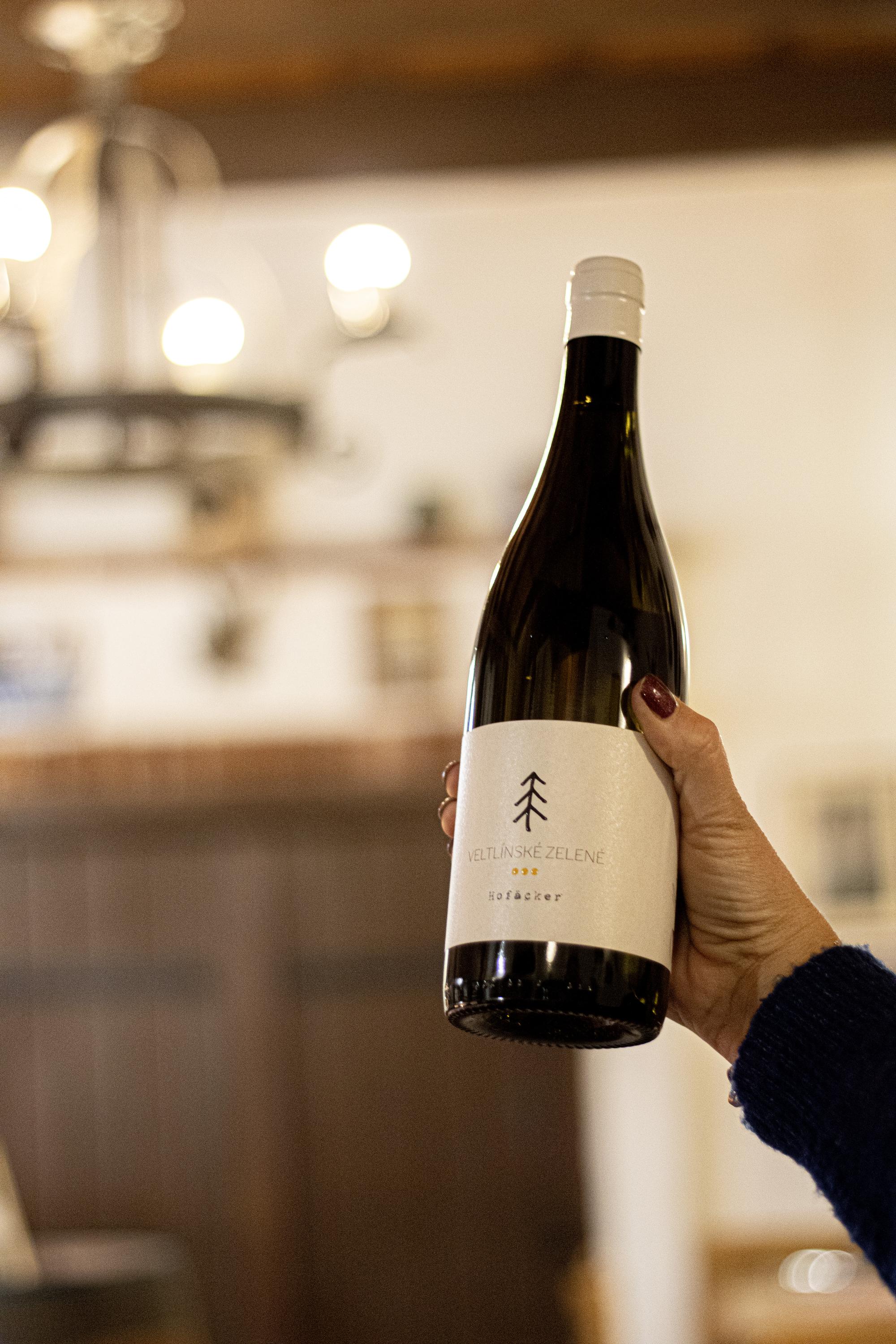 Smrčka vinařství foto 2