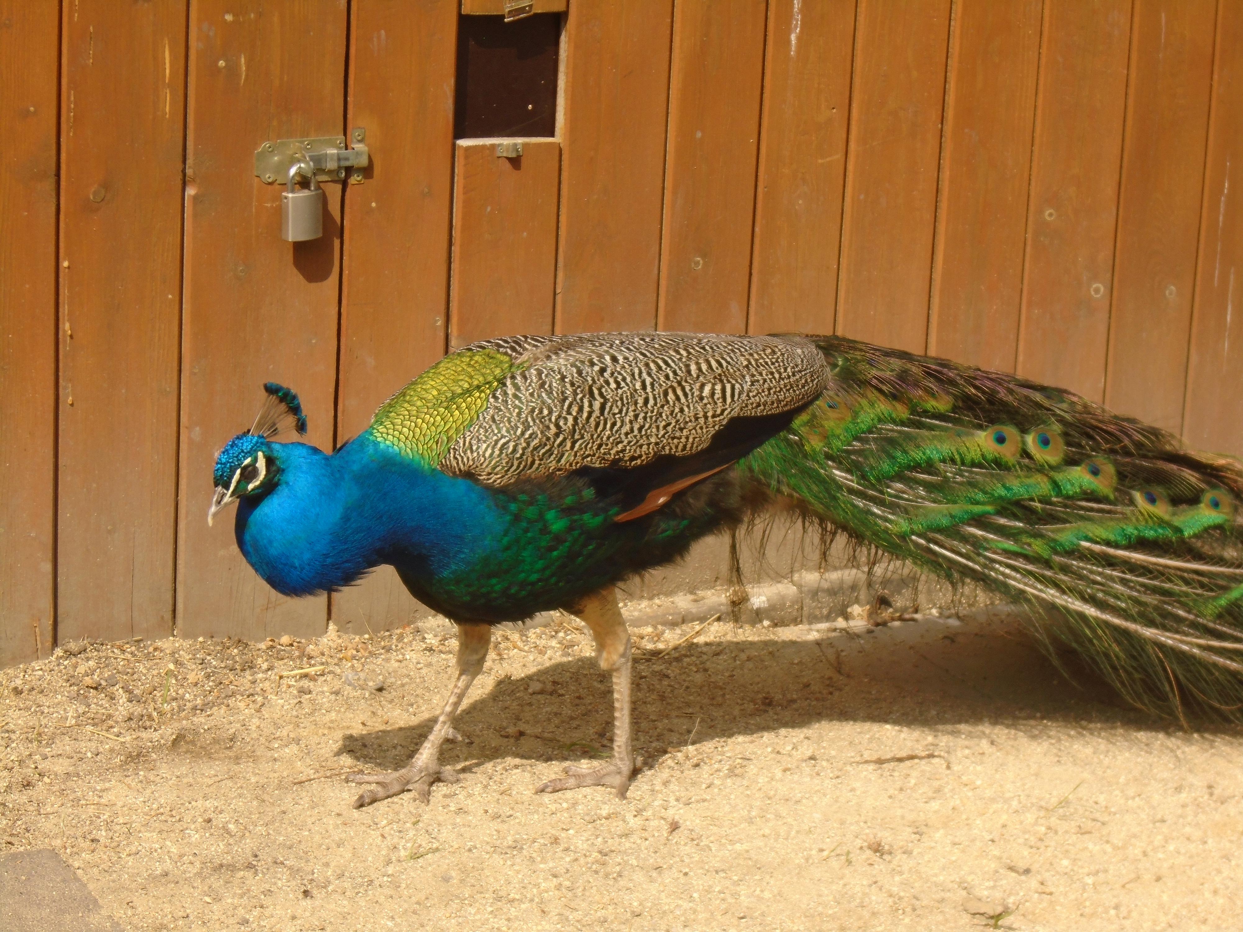 Zoo Sedlec foto 5