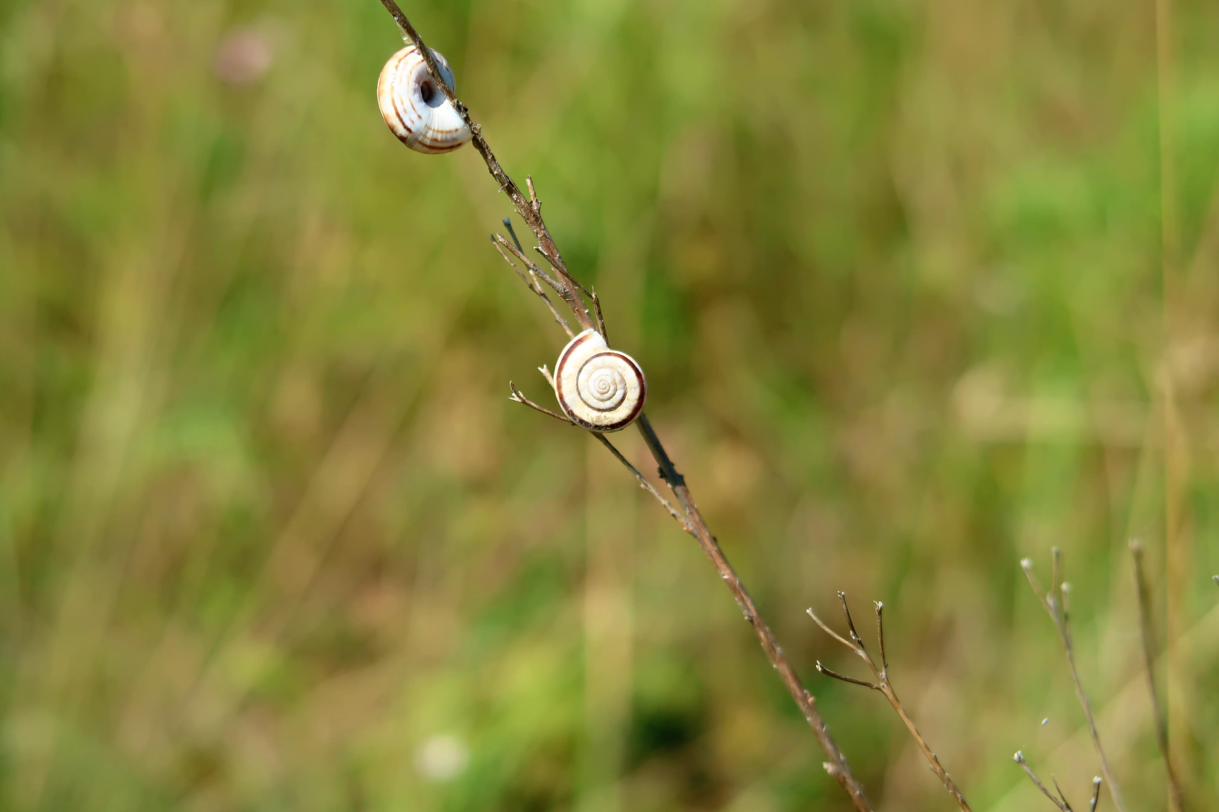 Botanická zahrada Štramberk foto 6