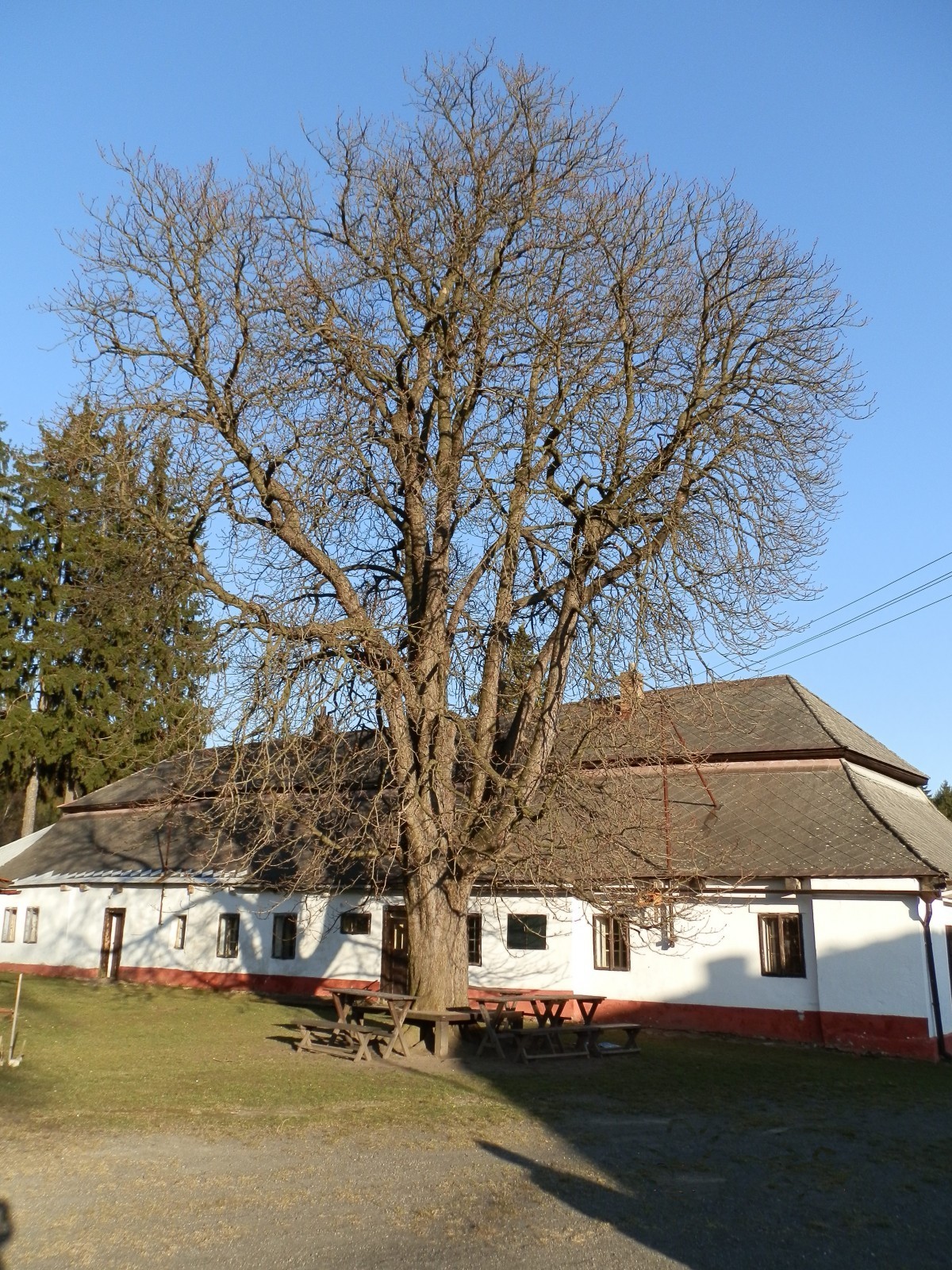 Sklárna Huť Jakub Tasice foto 3