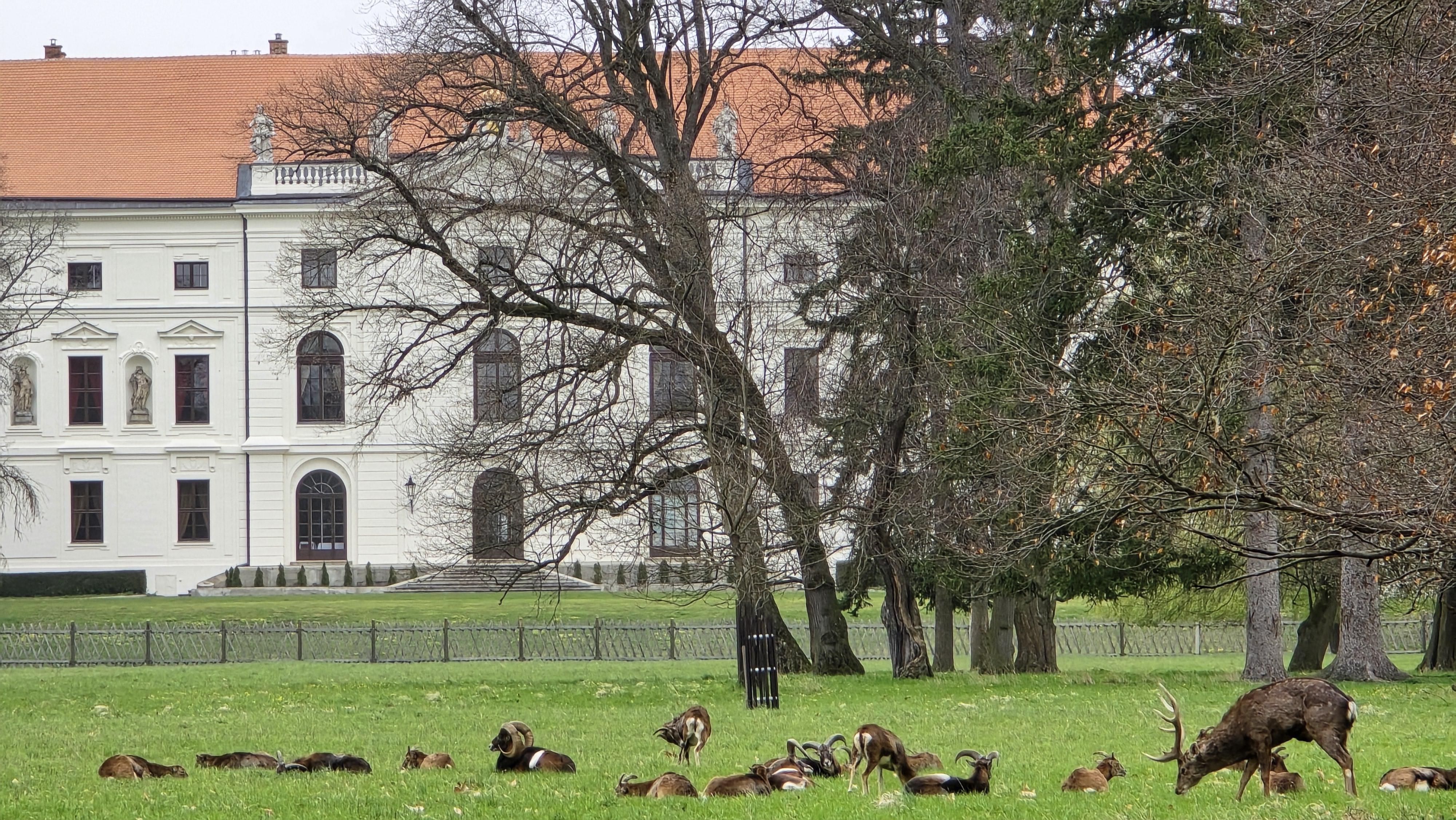 Státní Zámek Židlochovice foto 6