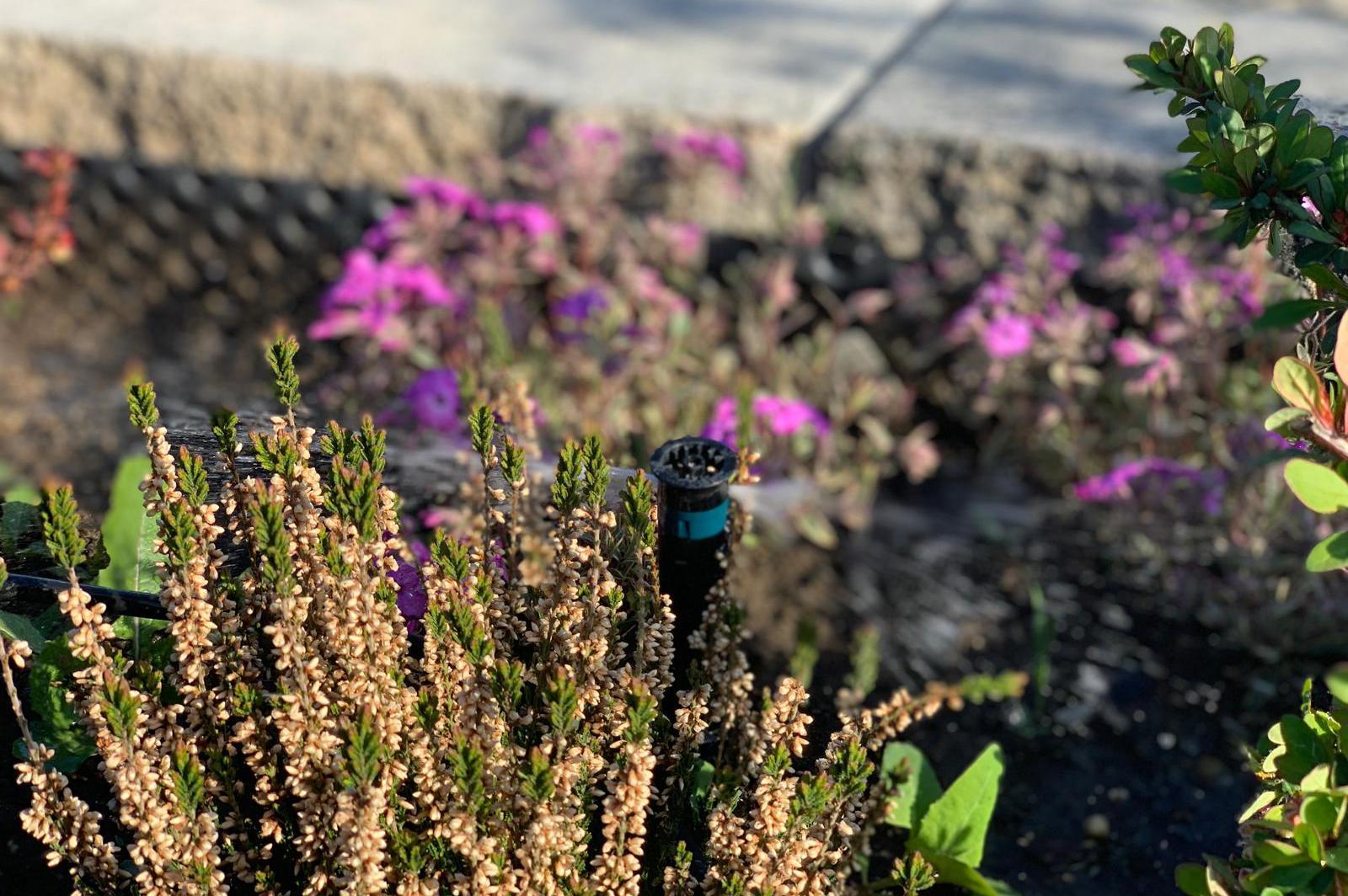 Závlahy a zahrady Miloš Hora